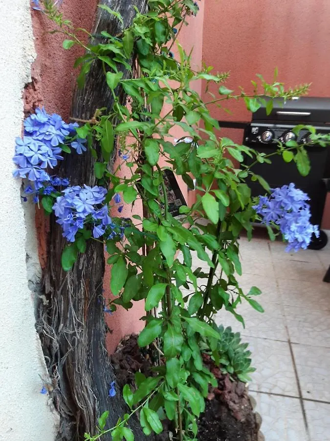 Maison 100 M2, Terrasse 25 M2, Clim, 3 Chbs Avec Tv, Parking Pierrelatte 0*,
